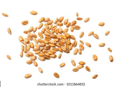 Wheat Grains Isolated On White Background. Top View