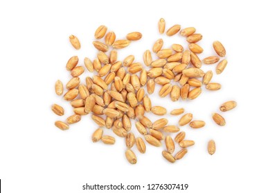 Wheat Grains Isolated On White Background. Top View