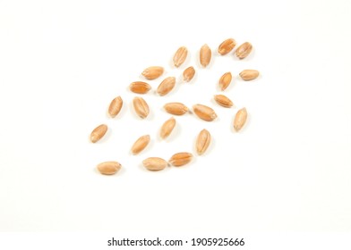 Wheat Grains Are Isolated On A White Background