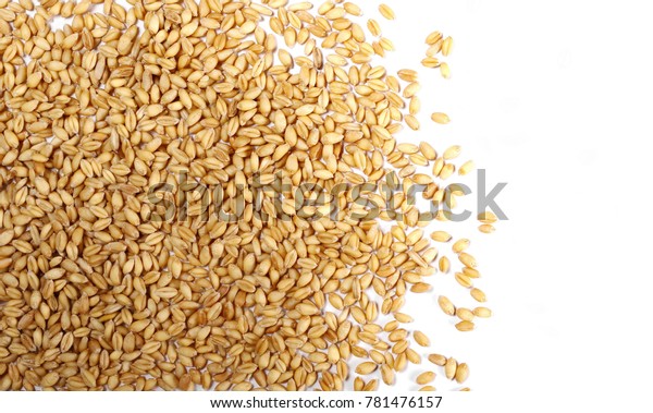 Wheat Grains Isolated On White Background Stock Photo (Edit Now) 781476157