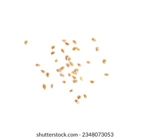 Wheat Grains Isolated, Scattered Barley, Dry Cereal Seeds for Bread, Spelta Healthy Organic Food, Wheat Grains Heap on White Background Top View - Powered by Shutterstock