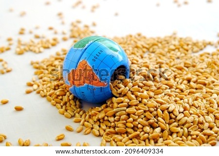 Wheat grains next to the globe in miniature. The concept of harvest, export, import, drought in hot countries. Bread shortage. Copy space
