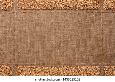 Wheat grains on burlap, with place for text. Top view. Copy space