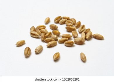 Wheat grains on white isolated background. Pile of cereal grains scattered on the table close-up. Seeds of barley, wheat, oats, rye, triticale macro shooting. Natural dry grain in the center of image - Powered by Shutterstock