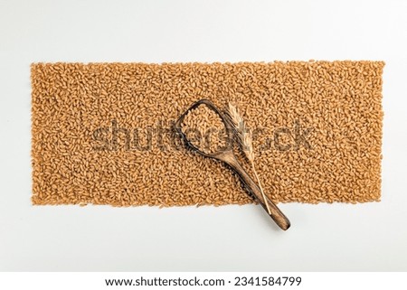 Wheat grains. Spike and wheat grain in wooden spoon on wheat grains background. Gehu. Top view wheat grains background.