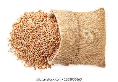 Wheat Grains Spilled Out Of A Bag Close-up View Top. Isolated On A White