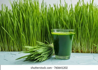 wheat grass juice on table. Green organic wheat grass drink with wheat grass background,young grass stage.
