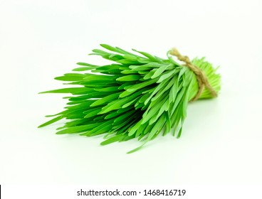 Wheat Grass On White Background