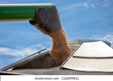 Wheat Harvest In Australia.