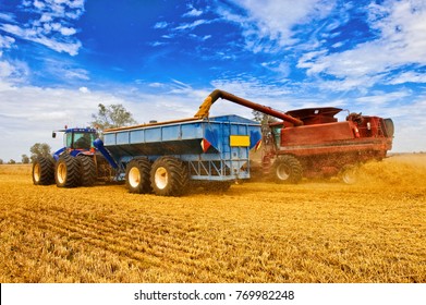 Wheat Harvest Australia, Australia Produces A Lot Of Wheat Most To Be Exported To Other Countries.