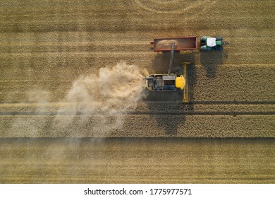 Wheat Harvest And The Combine Harvester In French Vexin In Aerial View