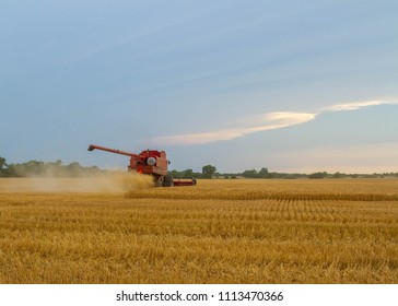 Wheat Harvest In Kansas