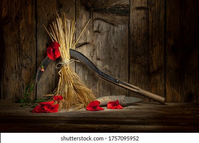 Wheat Harvest, Pruning Knife And Poppies