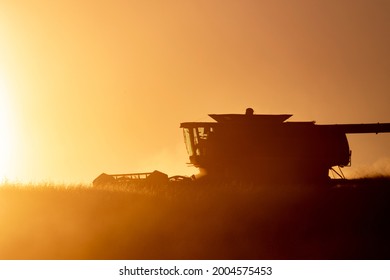 Wheat harvest at sunset in the Flathead Valley, Montana, USA - Powered by Shutterstock