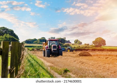 Wheat Harvesting In The Summer Season By A Modern Combine Harvester With A Dramatic Sky And Rainbow In The Background. Farmers Fighting Food Shortage