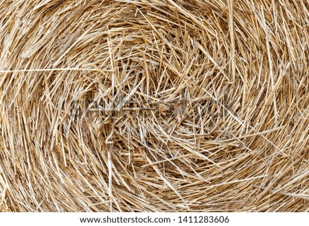 Similar – Image, Stock Photo #S# Straw spiral Nature