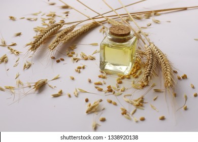Wheat heads on white ground and wheat oil in bottle