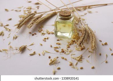 Wheat heads on white ground and wheat oil in bottle