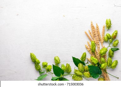 Wheat and hops on a wooden background. Top view. Free space for text.