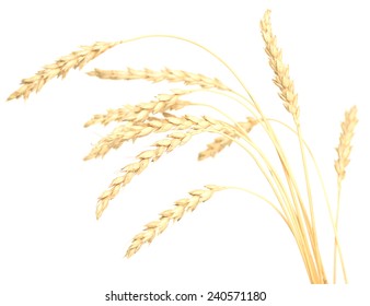 Wheat Isolated On White Stock Photo 240571180 | Shutterstock