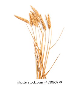 Wheat Isolated On White