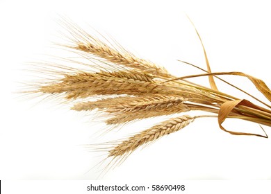 Wheat Isolated On White