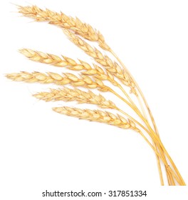 Wheat Isolated On White Background Stock Photo 317851334 | Shutterstock