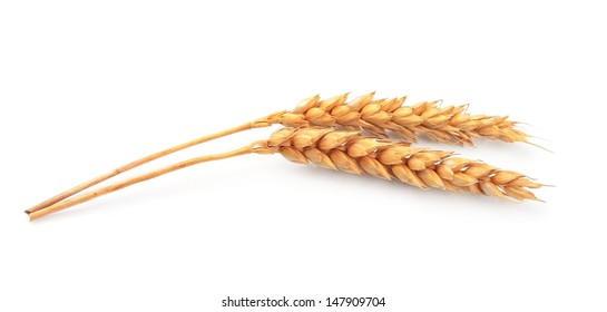 2,501,002 Wheat Images, Stock Photos & Vectors | Shutterstock