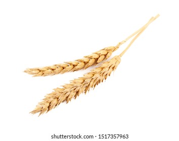 8,142 Wheat husk Images, Stock Photos & Vectors | Shutterstock