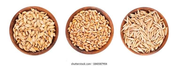 Wheat, oat and barley grains in wooden bowl, isolated on white background. Processed organic dry seeds set. Top view. - Shutterstock ID 1840587904
