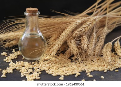 Wheat oil, wheat ears and wheat grains in the bottle.