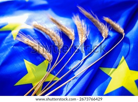 Wheat on EU flag background. Wheat grain. UE wheat export prices. European Union Export curbs. European Union grain shipment. Export of rye, barley, corn. EU grain prices. Crop Production. 