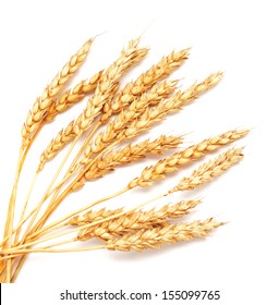 wheat on white background - Shutterstock ID 155099765