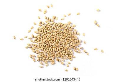 Wheat pile isolated on white background, top view