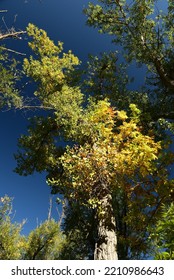 Wheat Ridge Greenbelt Open Space.