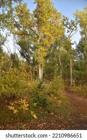 Wheat Ridge Greenbelt Open Space.