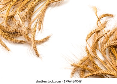 Wheat Rye Barley Oat Seeds. Whole, Barley, Harvest Wheat Sprouts. Wheat Grain Ear Or Rye Spike Plant Isolated On White Background, For Cereal Bread Flour. Top View, Cutout.