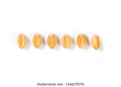 Wheat Seeds Isolated On White Background