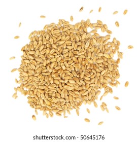 Wheat Seeds Isolated On White