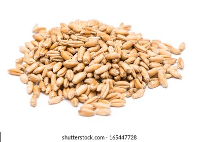 Wheat Seeds On White Background