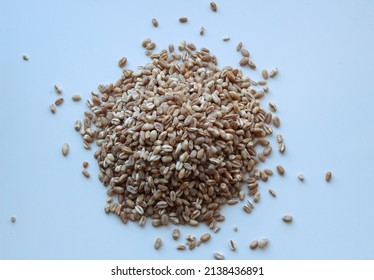 Wheat seeds on a white background. The topic of rising grain prices in the world due to economic disruption and low yields