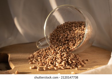 Wheat Seeds Under The Sunlight On Wood Chopper