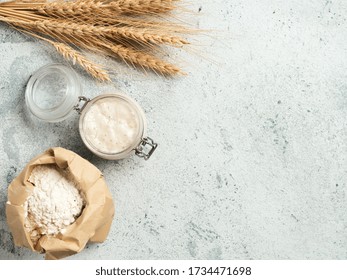Wheat sourdough starter. Top view of bread making ingredients - glass jar with sourdough starter, flour in paper bag and ears over gray cement background. Copy space for text or design.