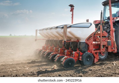 Wheat Sowing In The Spring