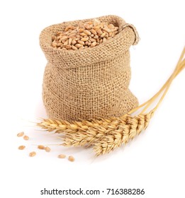 wheat spike and wheat grain in burlap bag isolated on white background