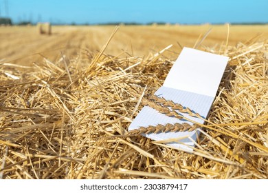 wheat spikelets on a notebook paper book and straw, yellow bottom, blue top, sky and straw. grain transaction and accounting of exported grain