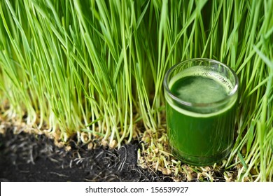 Wheatgrass Juice