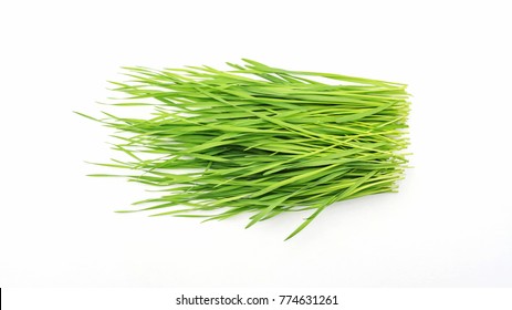 Wheatgrass Plant On A White Background.