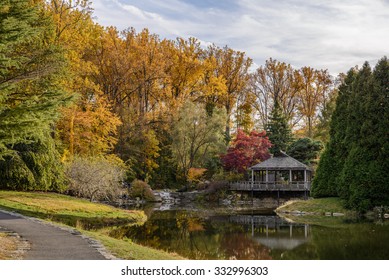 Wheaton Maryland October 26 Japanese Tea Stock Photo 332996303 ...