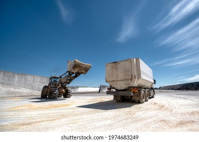 Wheel Bucket Loader Loads A Truck With Animal Feed